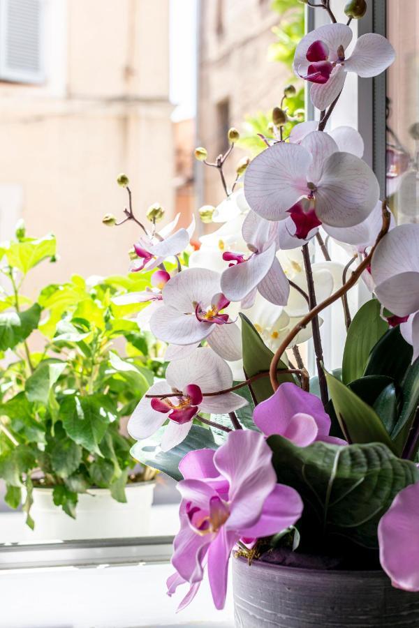 Hotel Le Flore Fréjus Zewnętrze zdjęcie